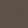 Belgard Delmaro 6x12 Coping
