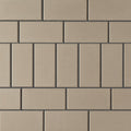 RCP 6x12 Smooth Accent Paver - Bone