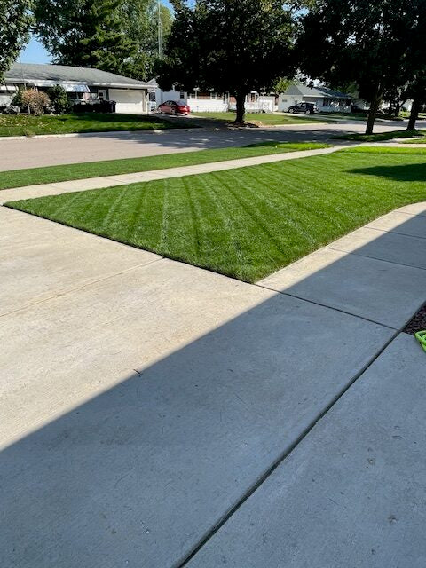 Twin City Seed 70/30 Overseed Seed Mixture - photo 3