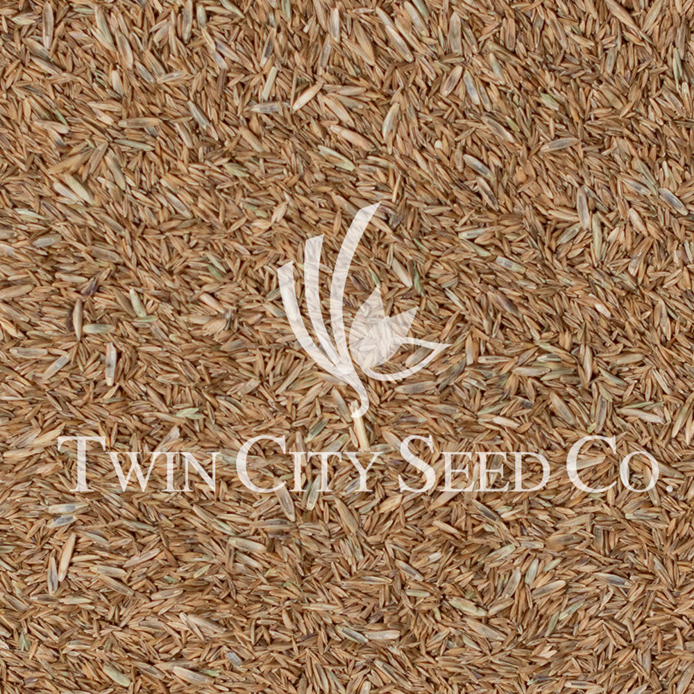 Twin City Seed 70/30 Overseed Seed Mixture - photo 1