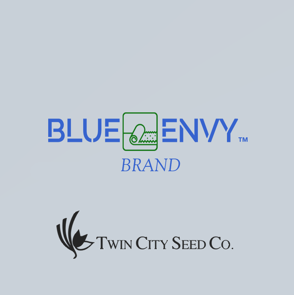 Twin City Seed Blue Envy Kentucky Bluegrass Blend - photo 1