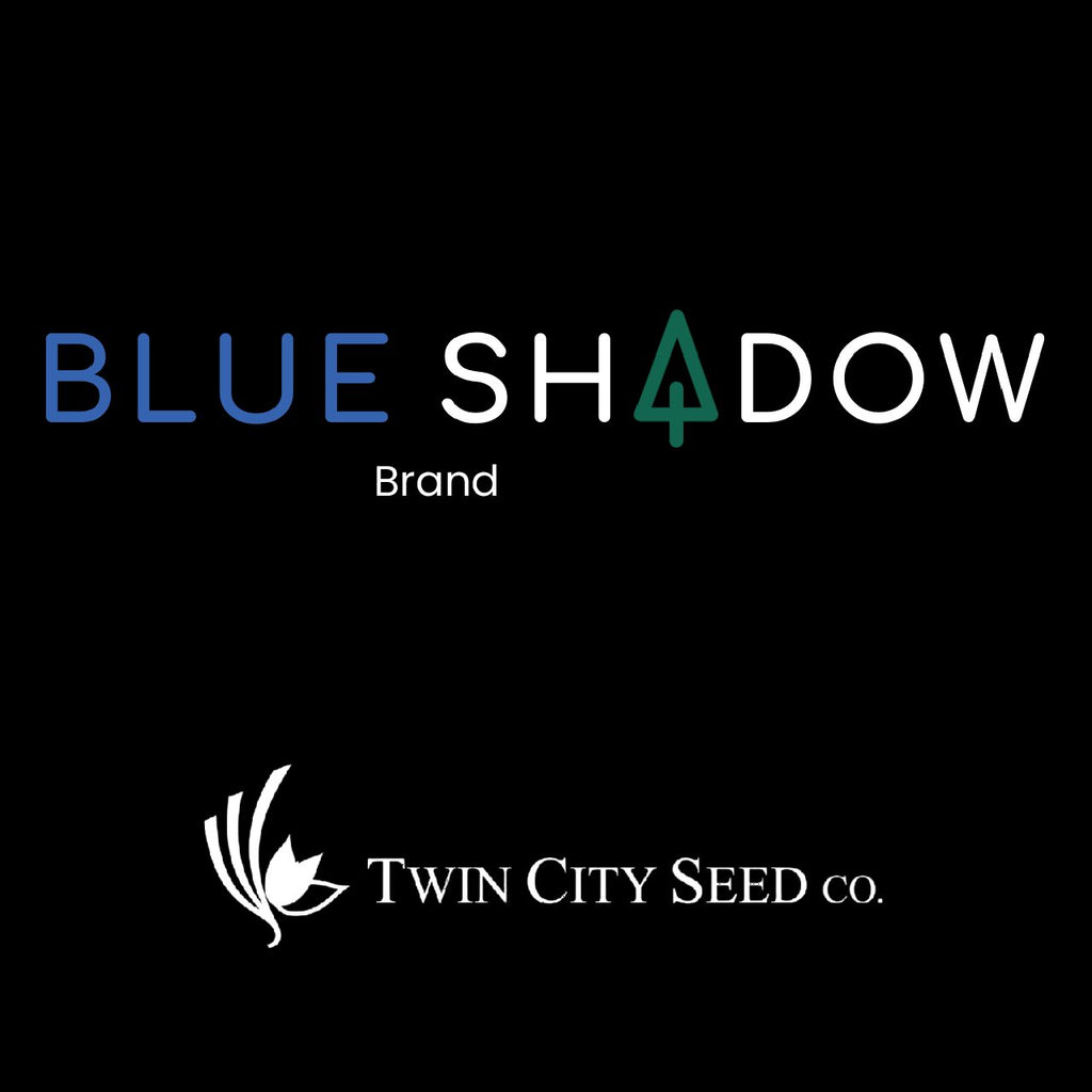 Twin City Seed Blue Shadow Kentucky Bluegrass & Fine Fescue Mixture - photo 1