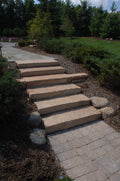 Snapped Steps - Chestnut