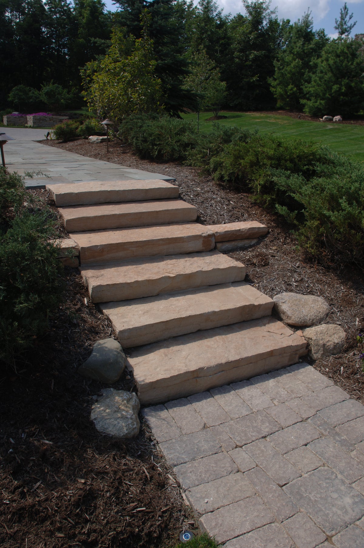 Snapped Steps - Chestnut