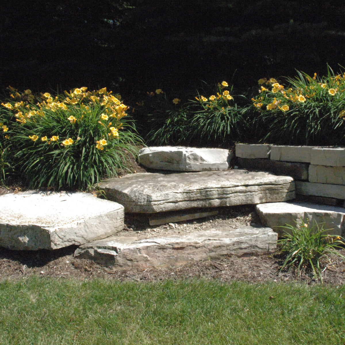 Outcropping for Steps - Chilton