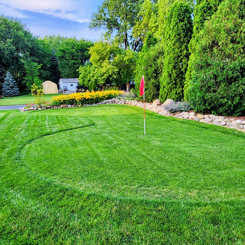 Twin City Seed Blue Envy Kentucky Bluegrass Blend - photo 3