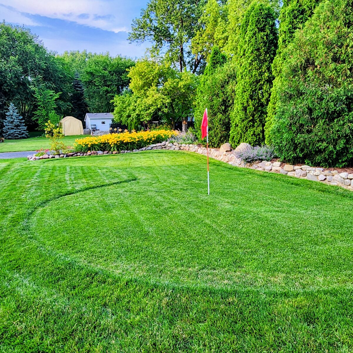 Twin City Seed Blue Envy Kentucky Bluegrass Blend - photo 3