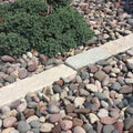 Lawn Edging - Eden