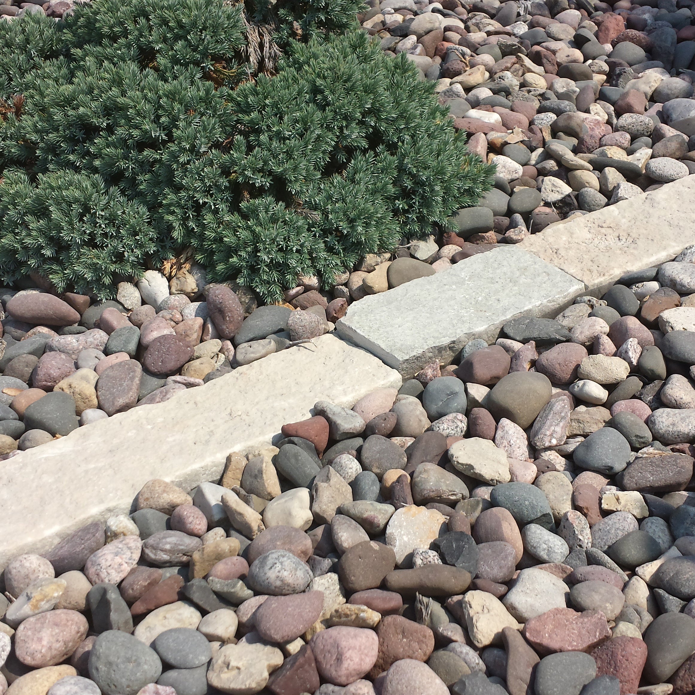 Lawn Edging - Eden