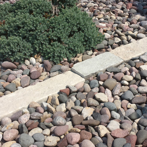 Lawn Edging - Eden