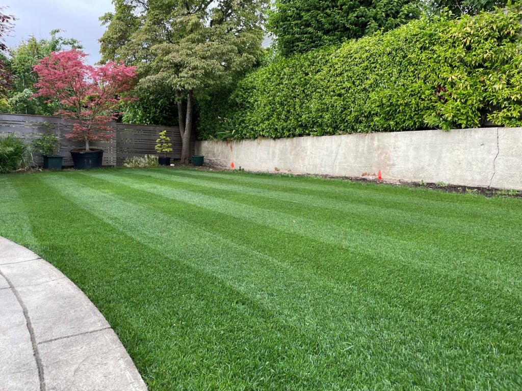 Twin City Seed Fielder's Choice Perennial Ryegrass Blend - photo 3