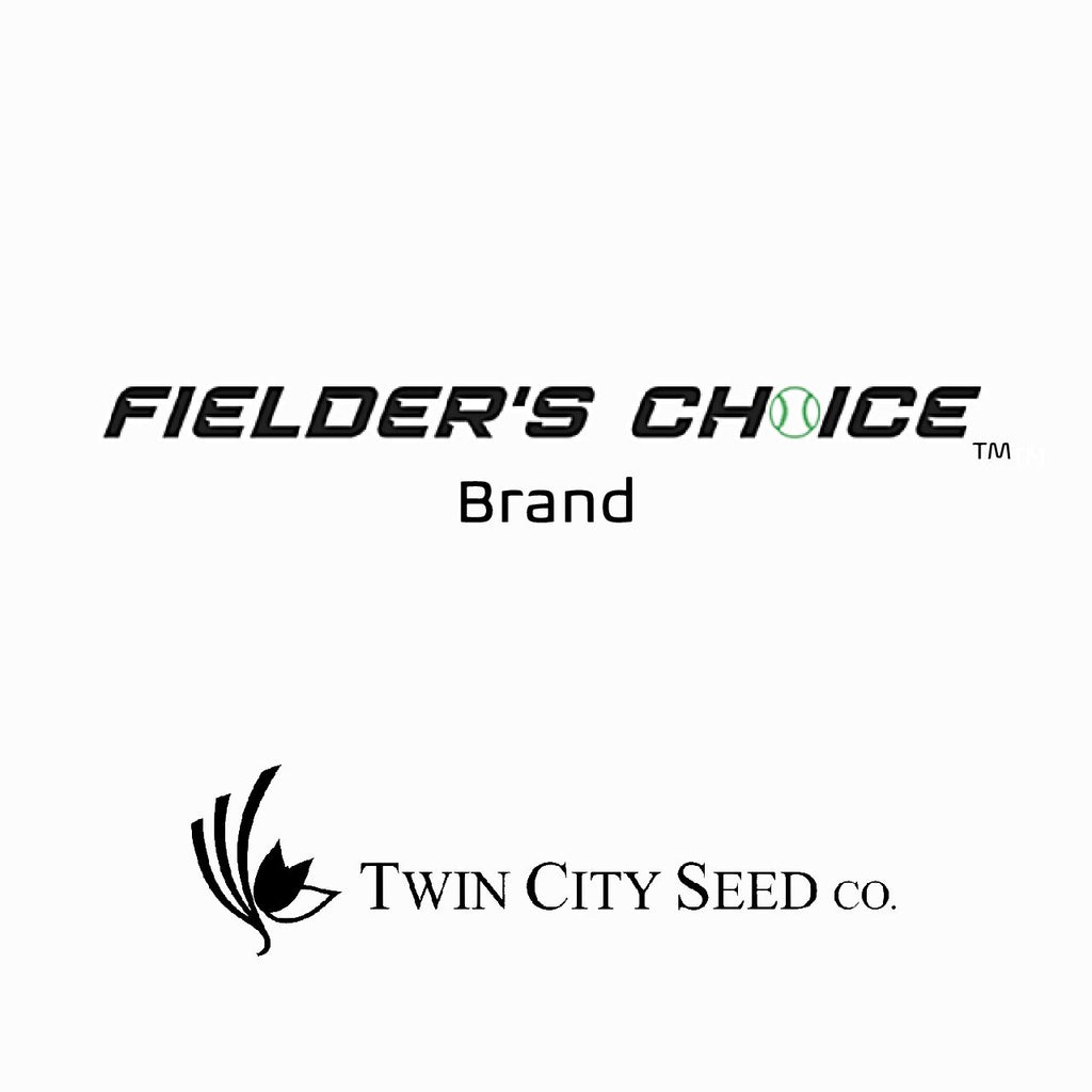 Twin City Seed Fielder's Choice Perennial Ryegrass Blend - photo 1