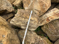 St. Croix Limestone Cubes
