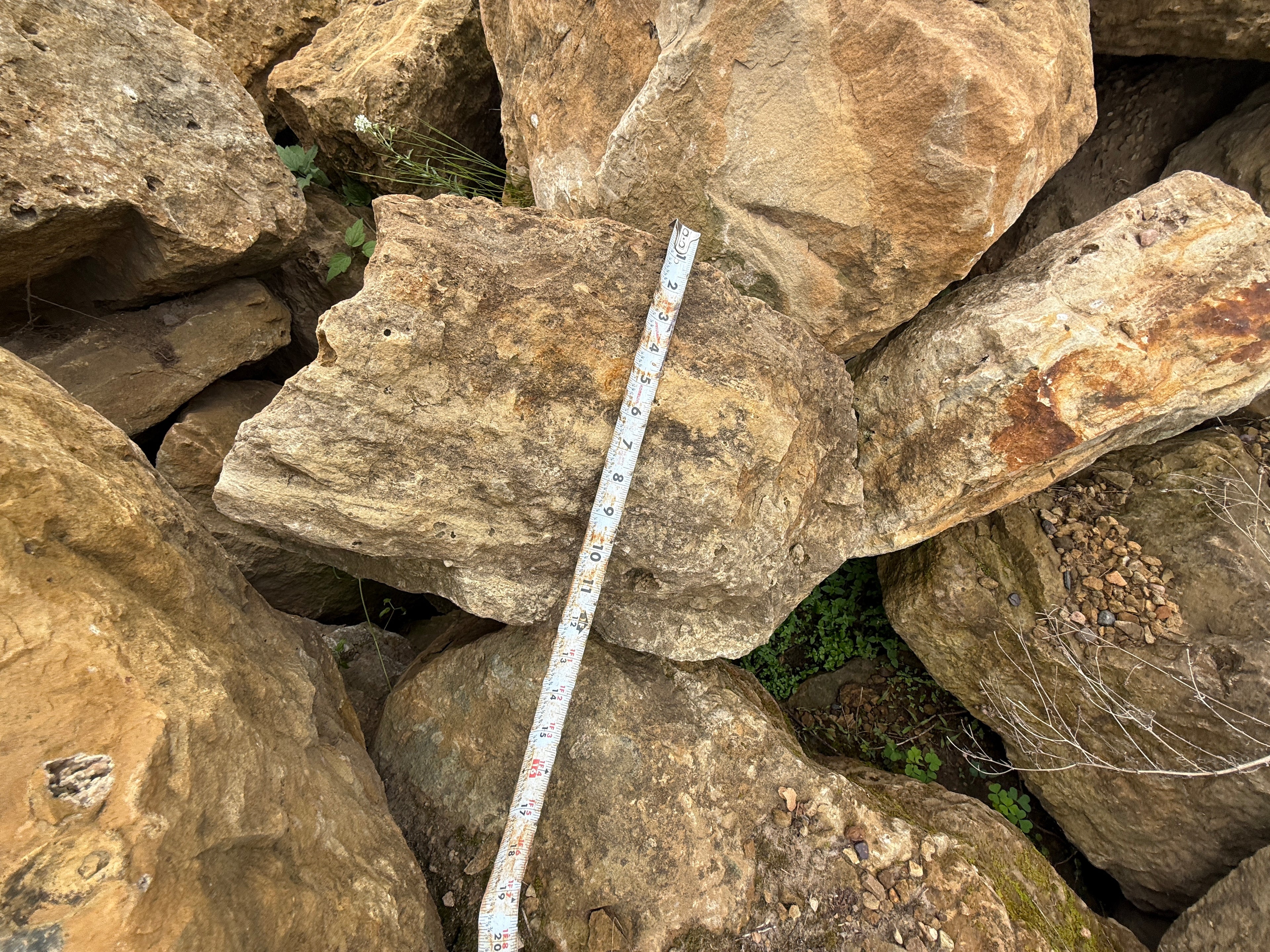 St. Croix Limestone Cubes