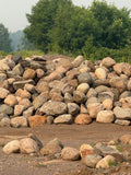 Glacial Boulders 18-24"