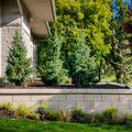 Belgard Diamond Pro Smooth Wall