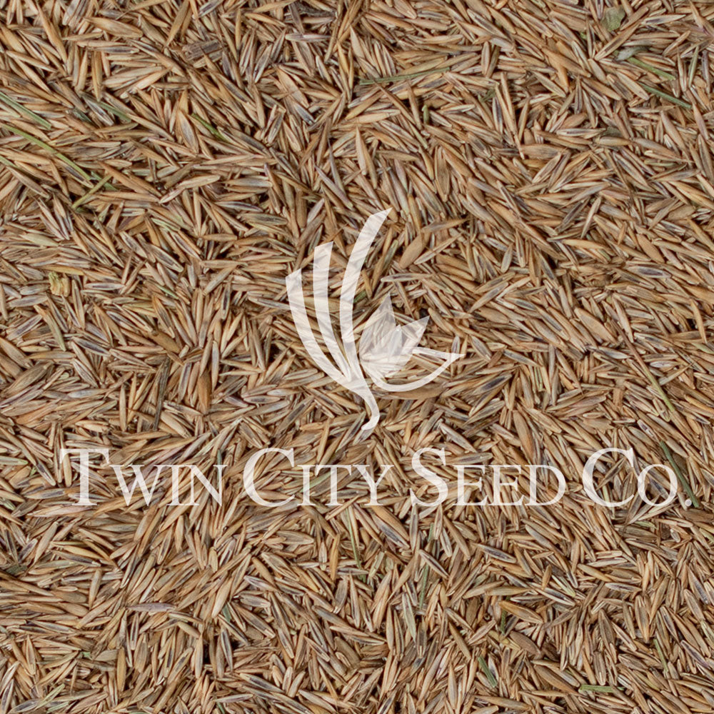 Twin City Seed STREETS Salt-Tolerant Seed Mixture - photo 1