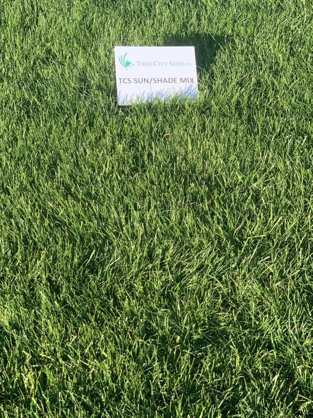 25 LBS - Sun & Shade Lawn Seed Mixture