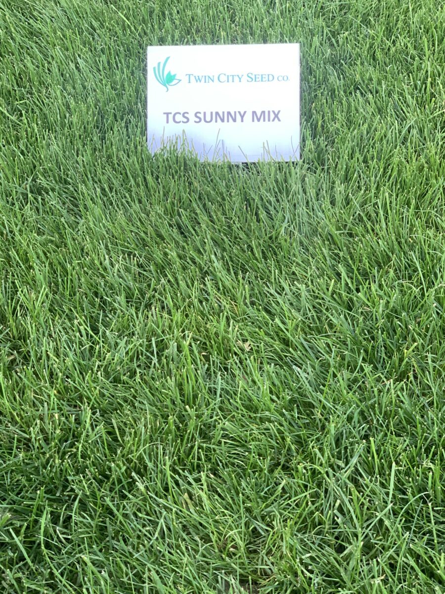 Twin City Seed Weekend Warrior Sunny Lawn Seed Mixture - photo 3