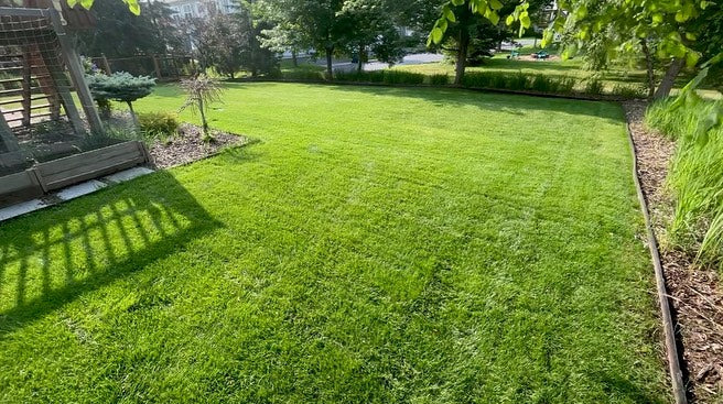 Twin City Seed Weekend Warrior Shady Lawn Seed Mixture - photo 3