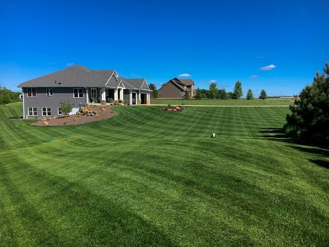 Twin City Seed Premium Tuff Turf Lawn Seed Mixture - photo 2
