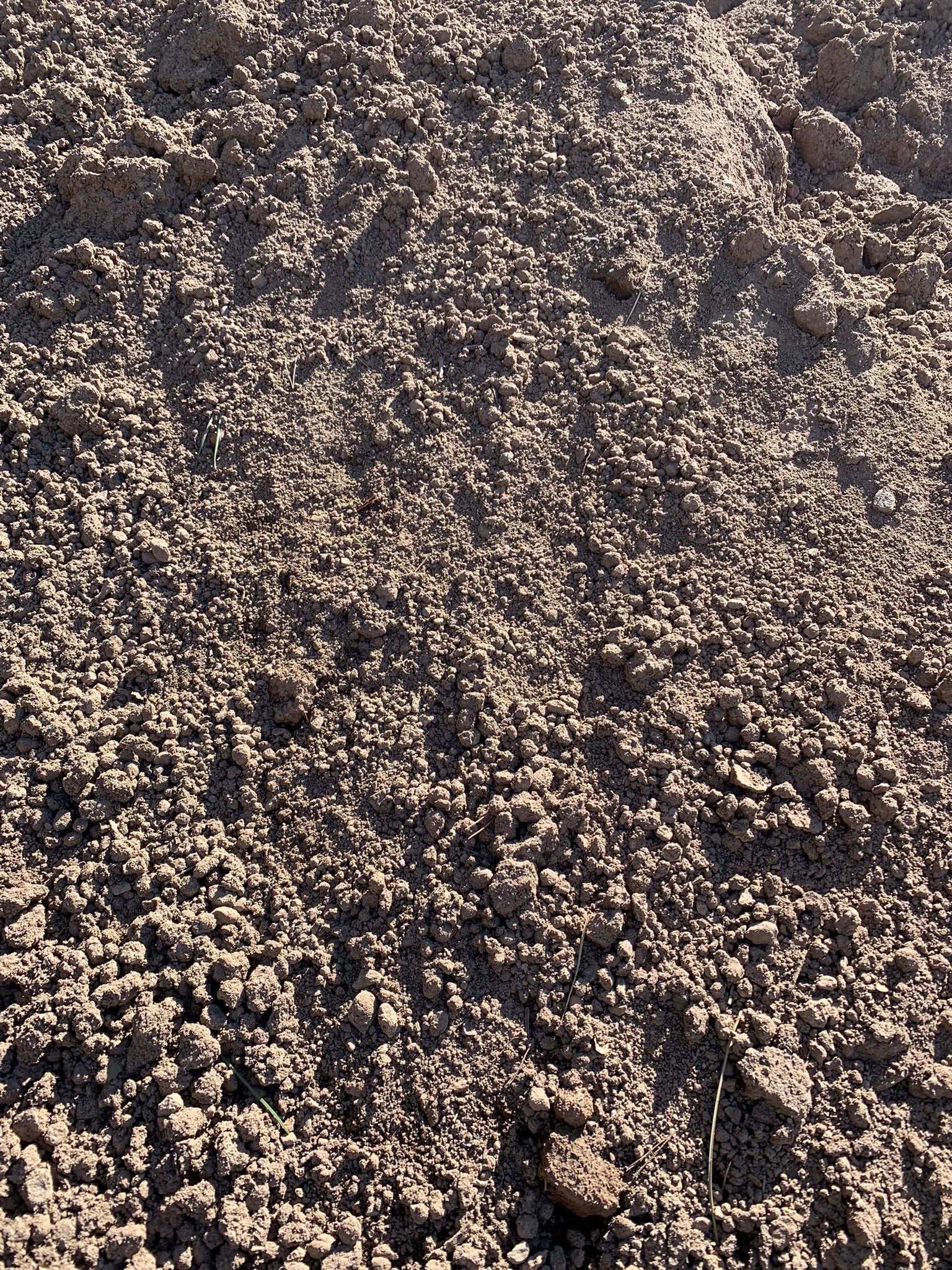 Black Dirt Compost