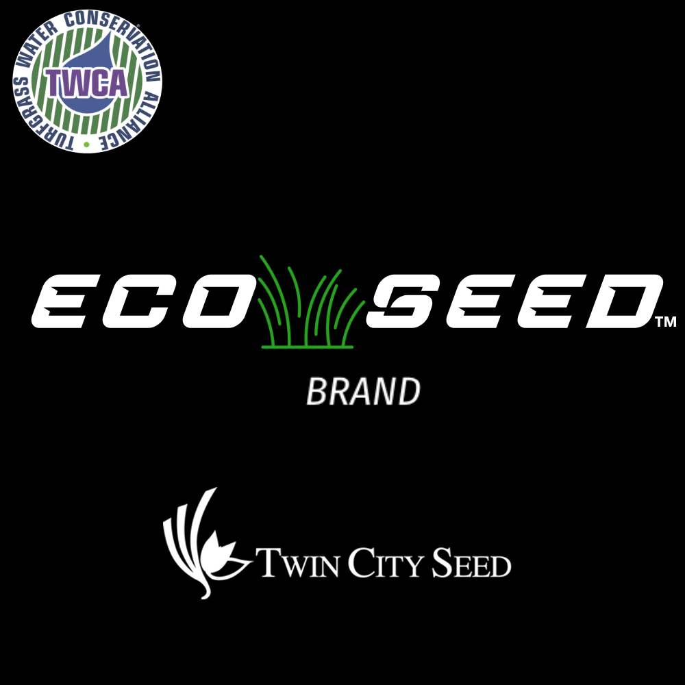 Twin City Seed Premium ECO Seed Low-Grow Fescue Mixture - photo 1