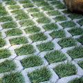 Turfstone Grass Pavers - installed with turf