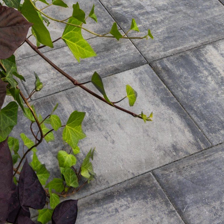 Grand Tranquility 3 Piece Paver - Allure Sentinel