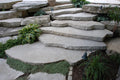 Lilly Pad Steps - Up to 30 sq ft