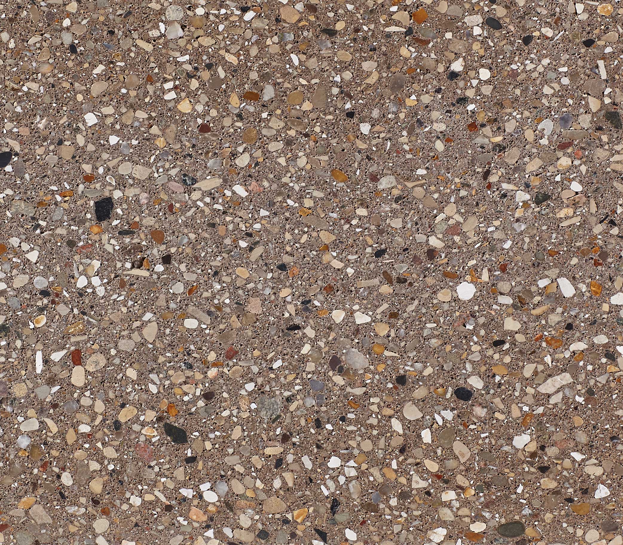 Prestige Coping Bullnose 24"