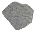Silver Creek Slate Stepping Stone